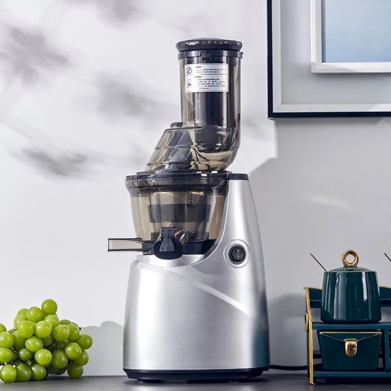 Slow Juicer Screw Cold Press Extractor Filter Free