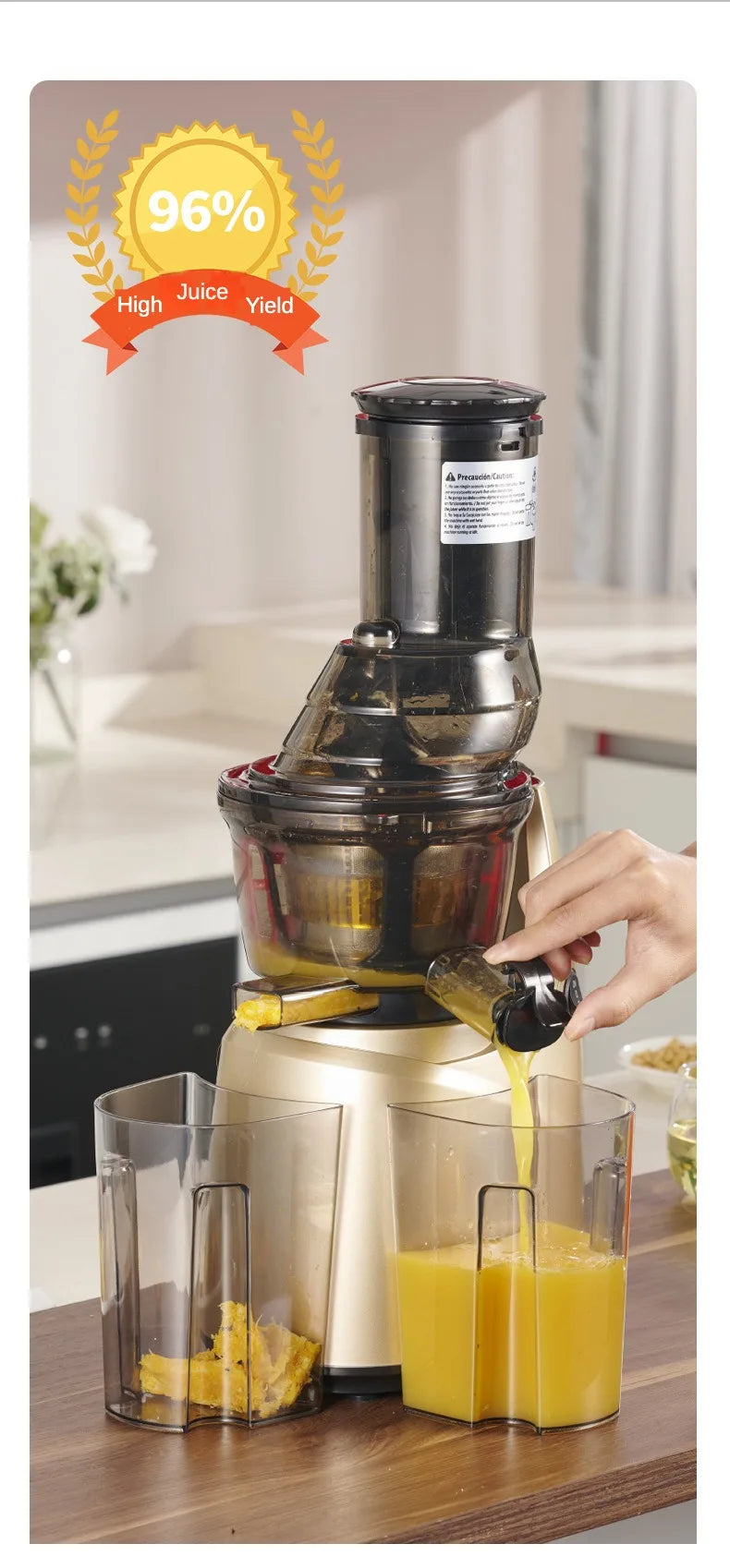Slow Juicer Screw Cold Press Extractor Filter Free