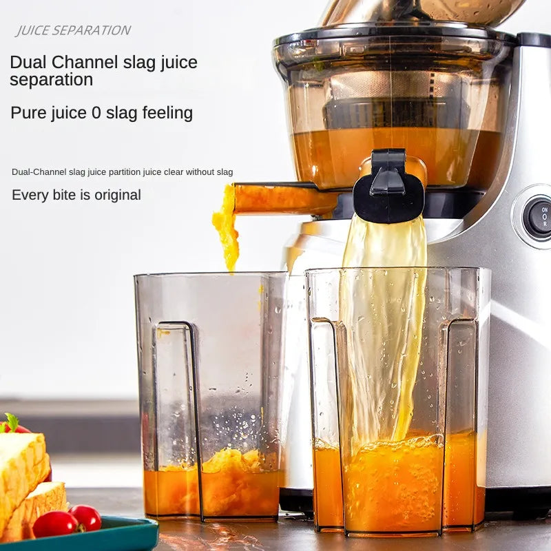 Slow Juicer Screw Cold Press Extractor Filter Free