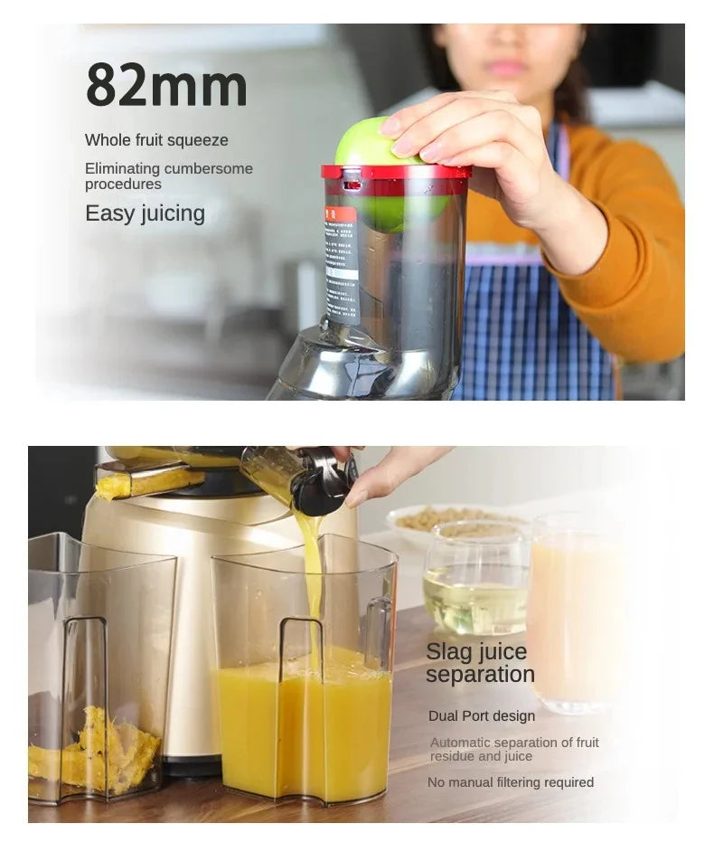 Slow Juicer Screw Cold Press Extractor Filter Free