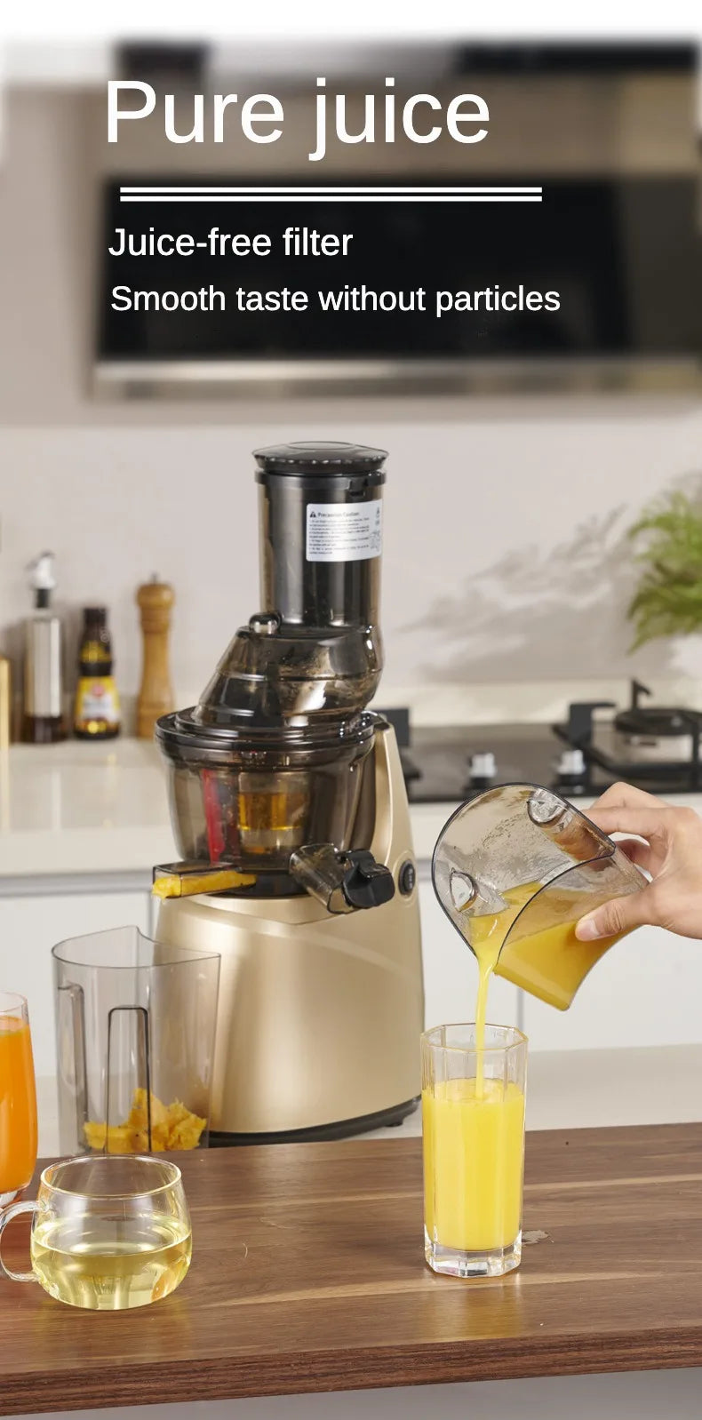 Slow Juicer Screw Cold Press Extractor Filter Free