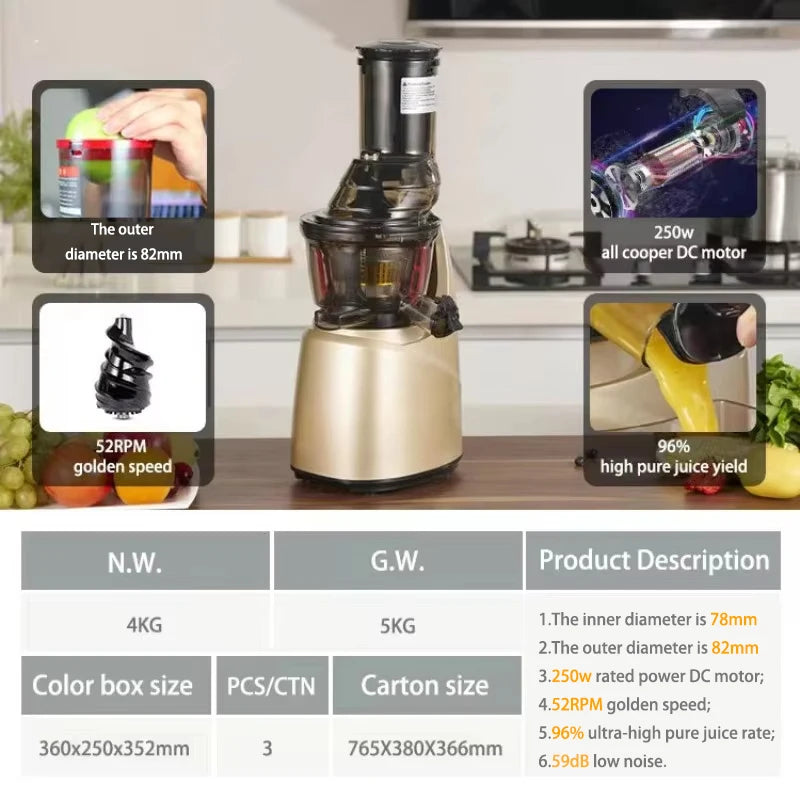 Slow Juicer Screw Cold Press Extractor Filter Free