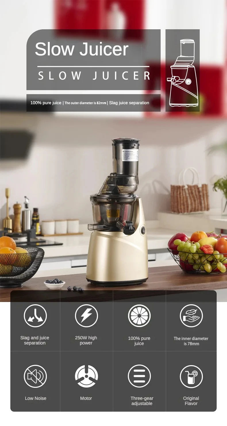 Slow Juicer Screw Cold Press Extractor Filter Free