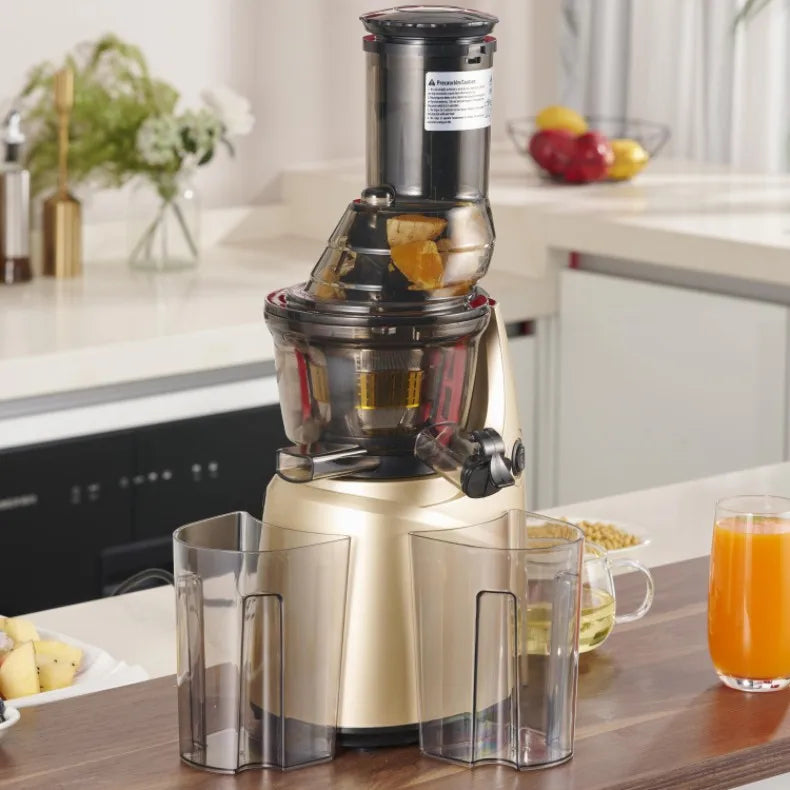 Slow Juicer Screw Cold Press Extractor Filter Free