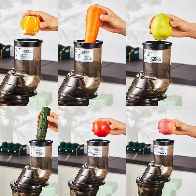 Slow Juicer Screw Cold Press Extractor Filter Free